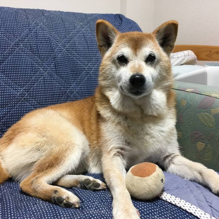 Dc2efeb9 0bd5 4020 b476 af0595a73817 1511704450713