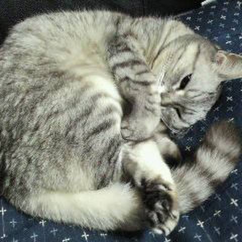 Dc2f065f b2f9 46f2 8ed1 671e161527bf 1508562714701