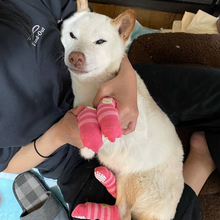 Dc2f47cf 859c 460a a6b3 66e7750229c3 1637219970820