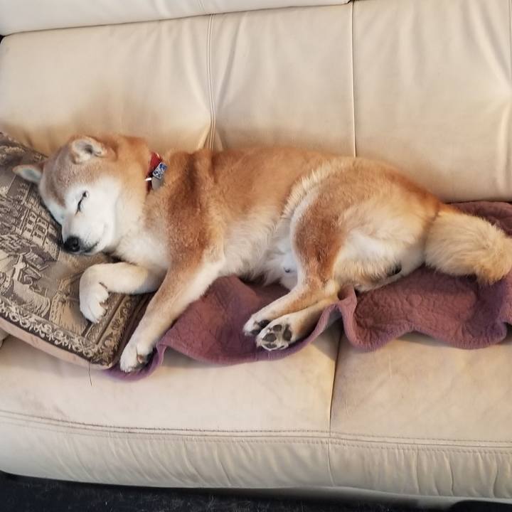 Dc2f4b1c 0676 4eb5 be5e 7cd9ded9b96a 1741045013752