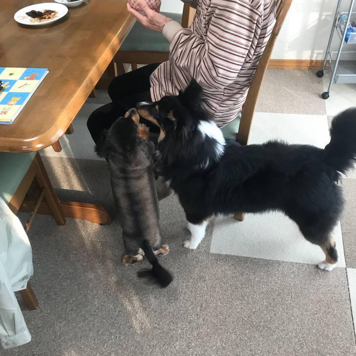 Dc2f5374 90e9 41a1 887f 82876930a2b7 1525211381217