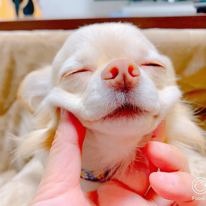 Dc2f89d5 d1c2 48d1 8cea eccd0273287a 1635159093360