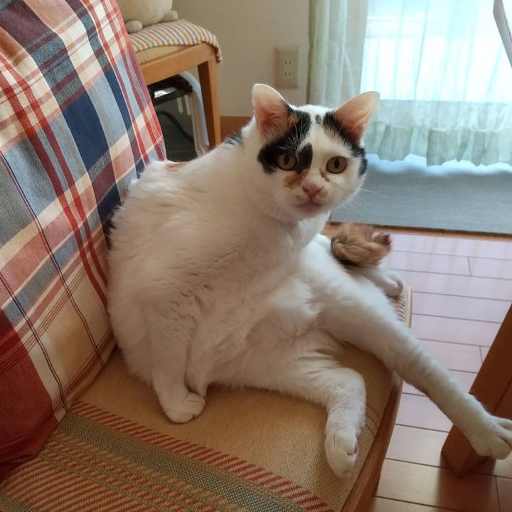 Dc2fd09b ac63 4637 90d5 f63342e1f4f3 1608852931338