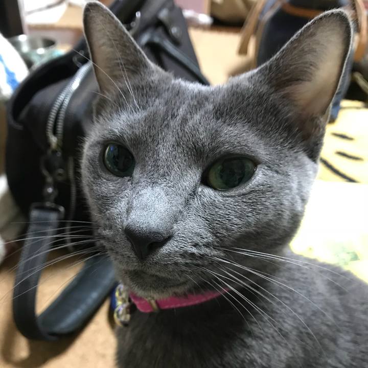 Dc301229 a3bc 4fe2 a9a3 9ed21df809a5 1515969006476