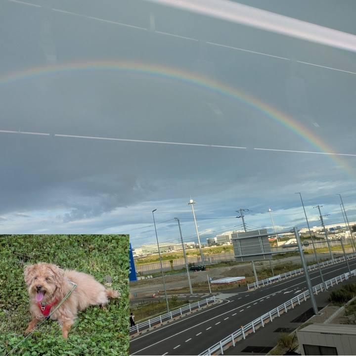 Dc304f06 2a7a 49b5 a7a2 3adfe8d5fc0f 1752397000909