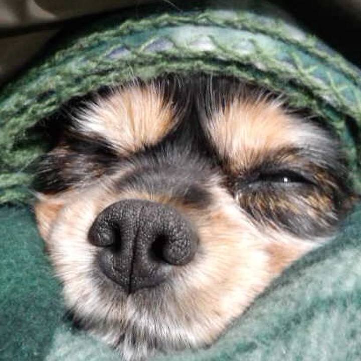 Dc305006 55c9 48dc 9b5c cb7ebedea6c9 1553871245107