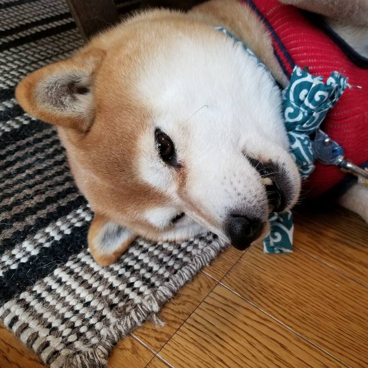 Dc306bd9 a591 45f0 bd40 4d8abf04c208 1516496752285