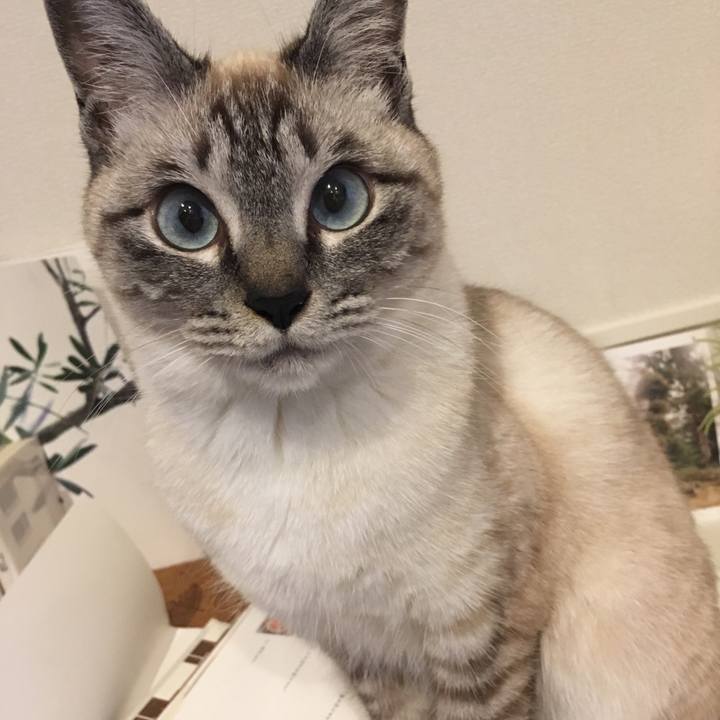 Dc3093d7 74aa 4177 968b c6b338e043e5 1557734516301