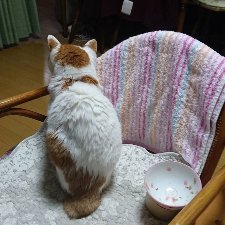 Dc30957a 3f24 40be 94e4 d8e3d8e57442 1577968899684