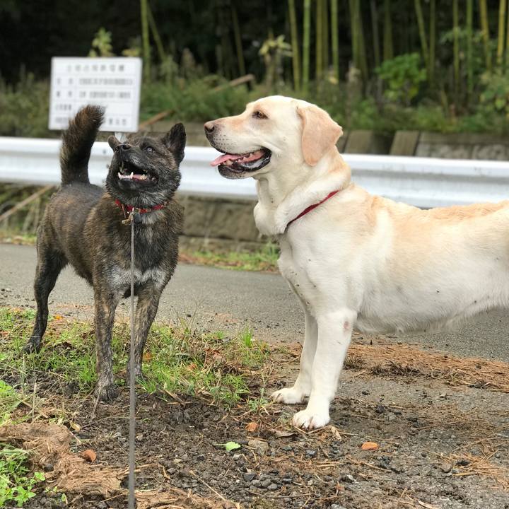 Dc30a056 f964 4b7e 8a7c 122e43aa9074 1541030101411