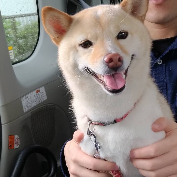 Dc30cf2d 23b8 473c b62a a28bb37354cb 1562480882642