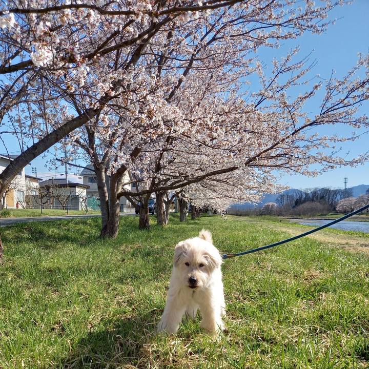 Dc30ed92 c5f0 4b8e 858b 41c769057e25 1618123037893