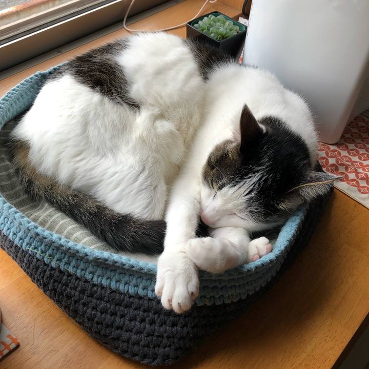 Dc30ef3c 4164 45b6 be7e f8105cd3c63f 1713755380922