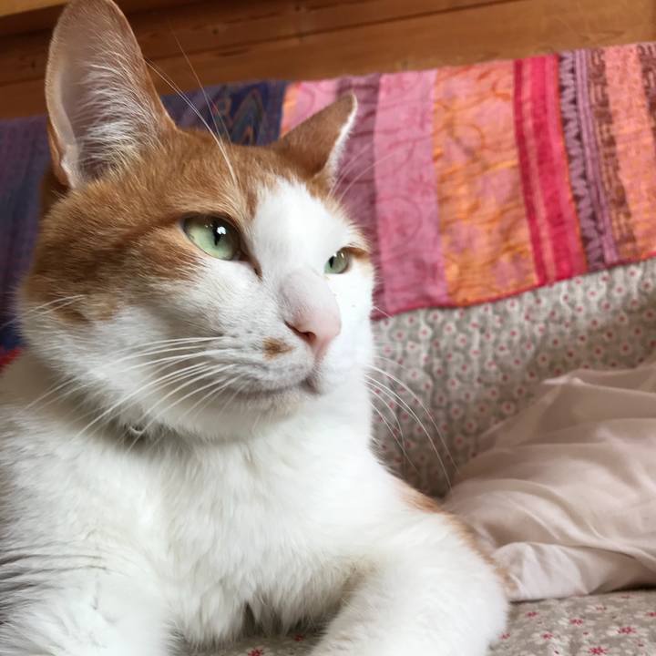 Dc311679 1da6 4294 b1f2 9d05d1daf1a6 1529444217418