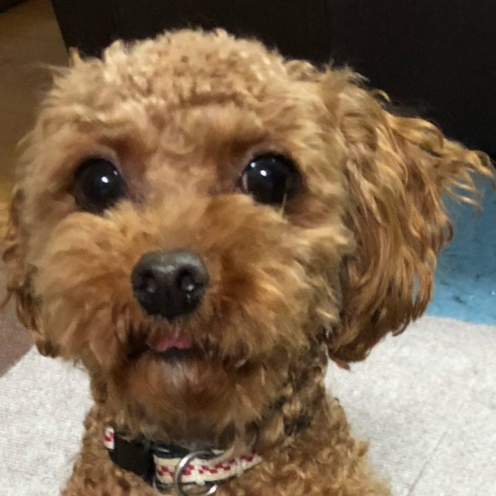 Dc311d03 2cdd 4124 92dc 2abdbd0db57e 1527336097859