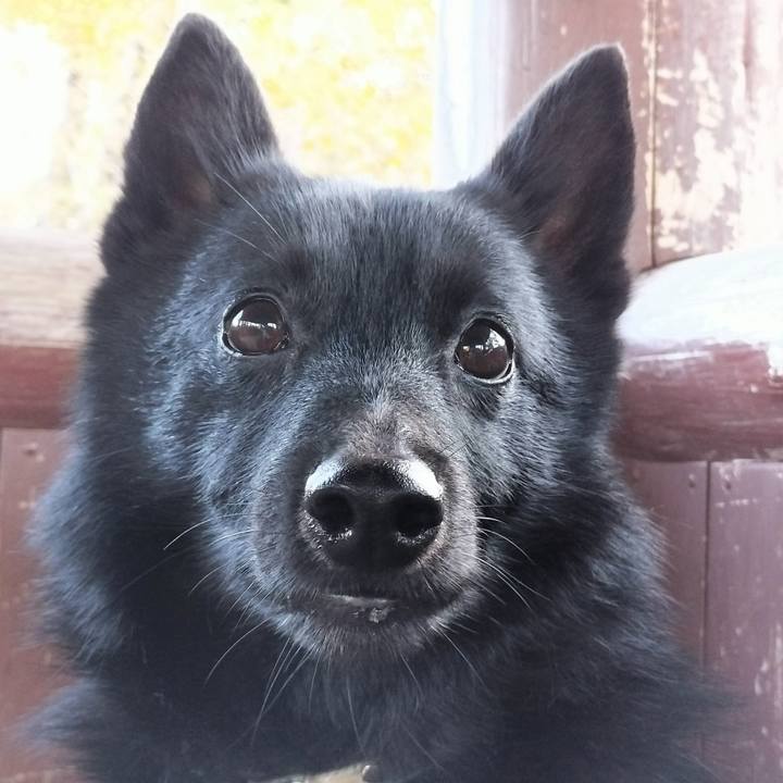 Dc3136dd e3f2 49c8 b975 cf9fc985b986 1732364196751