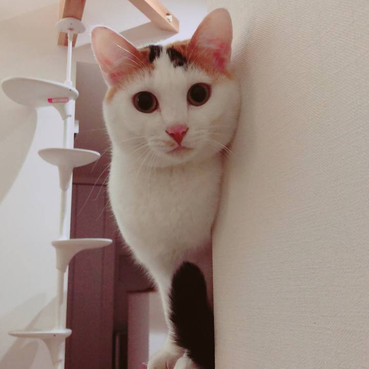 Dc31c58f a36f 427d 85d5 e583e5e0dee7 1574911973803