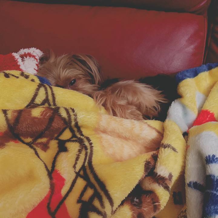 Dc3219fb c1dd 49e8 88b3 da9f617bfc4d 1539777771308