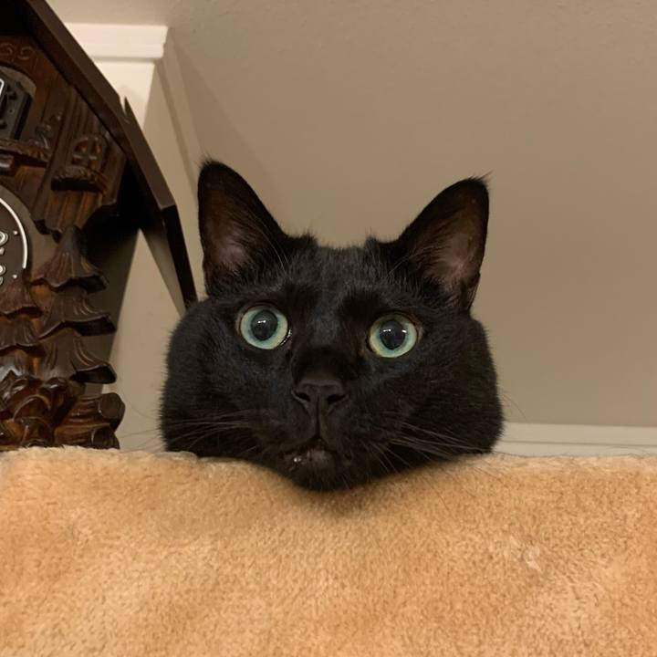 Dc3220d0 4093 4e2d b09d 30e9078d2067 1756825628700