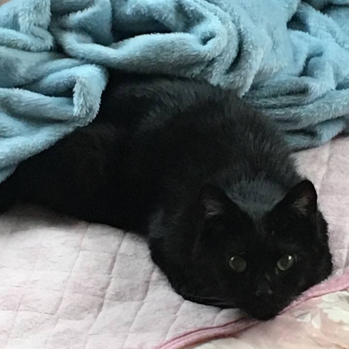 Dc3225f7 9d50 4ac2 813d 8e2aed746dd6 1563914523784