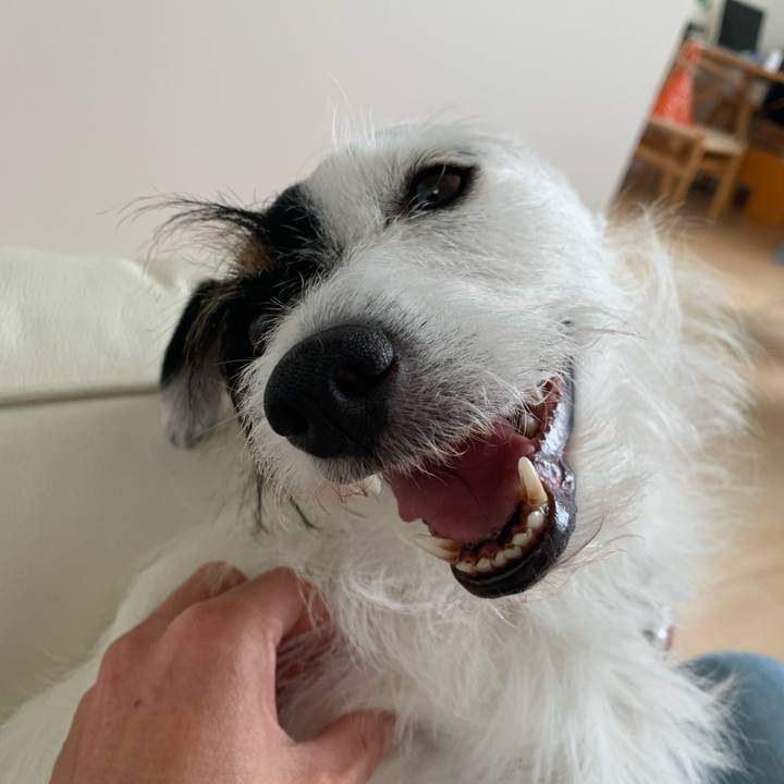 Dc3235da 1fb4 4a44 bac2 4a077e92b484 1624079721779