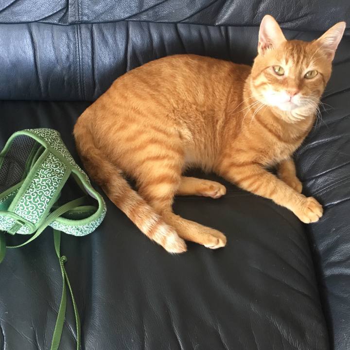 Dc3258e8 b827 47e2 a91b bb57a0588f66 1534039108506