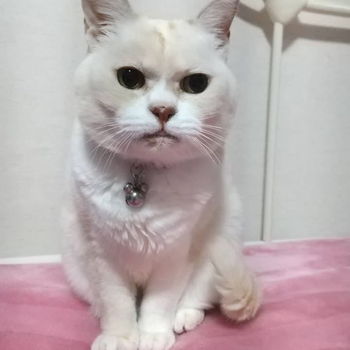 Dc327e1d 30cc 4dd3 9aff 2cf1f0ed4313 1609856486090