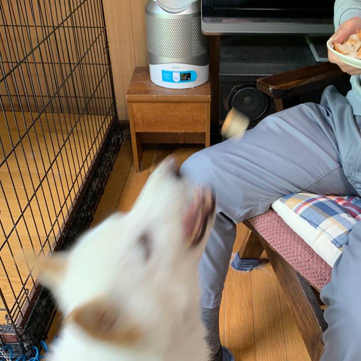 Dc328966 21bc 4fc2 ab69 3af106416f5a 1561963920626