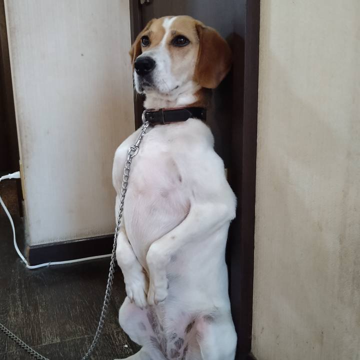 Dc3298d7 48cf 4dcd 9808 25d8773fcbbe 1624272329482