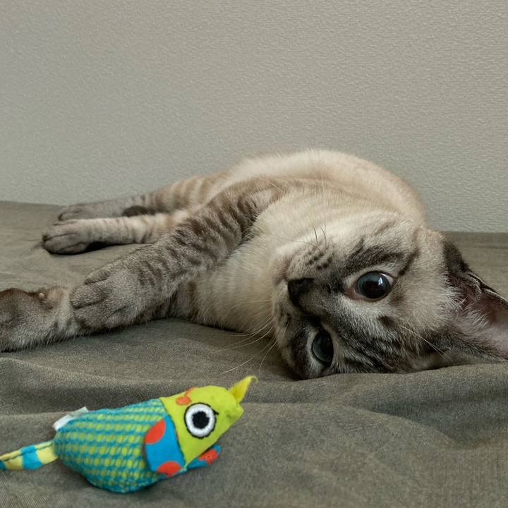 Dc32ddc0 f40a 4516 9bb2 57d787b7b454 1625225414291