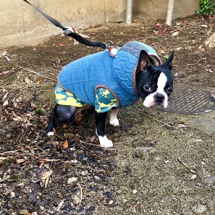 Dc32ec9e 8e53 4abd 8aaf 55286ca8be3a 1517048045396