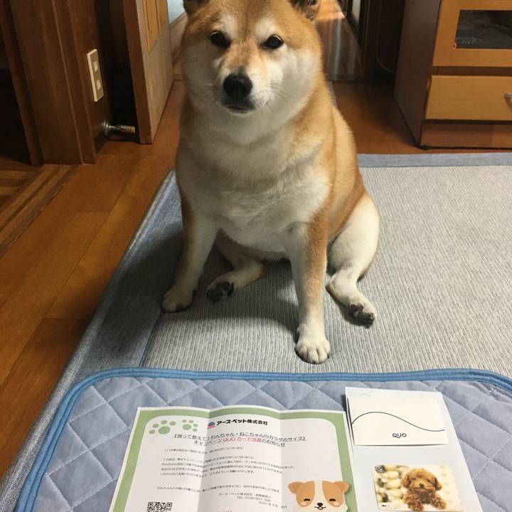 Dc330b32 db60 43bb bc0a 35a79a606dbb 1625352230531