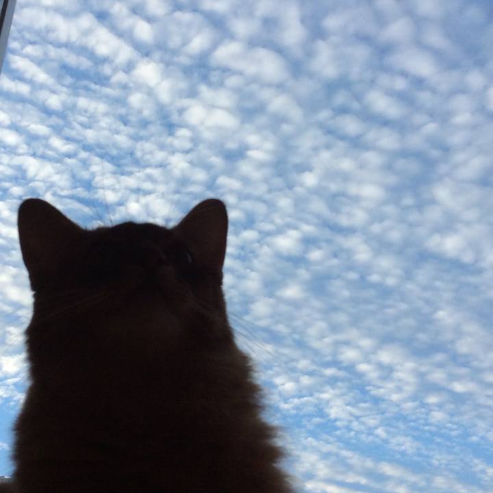 Dc33355f 8607 4621 bc85 a94379e4bbce 1602026256107