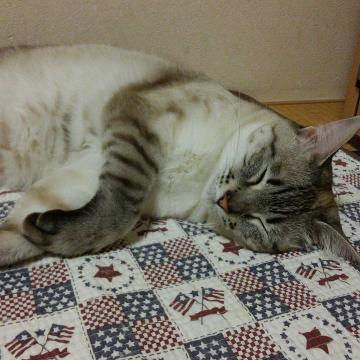 Dc33364f d6e4 4f63 a986 75092597187d 1527248697267