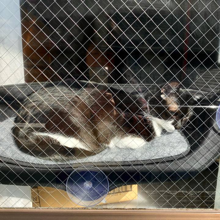 Dc336518 8382 4d0a 9023 011c00e21698 1607052921871