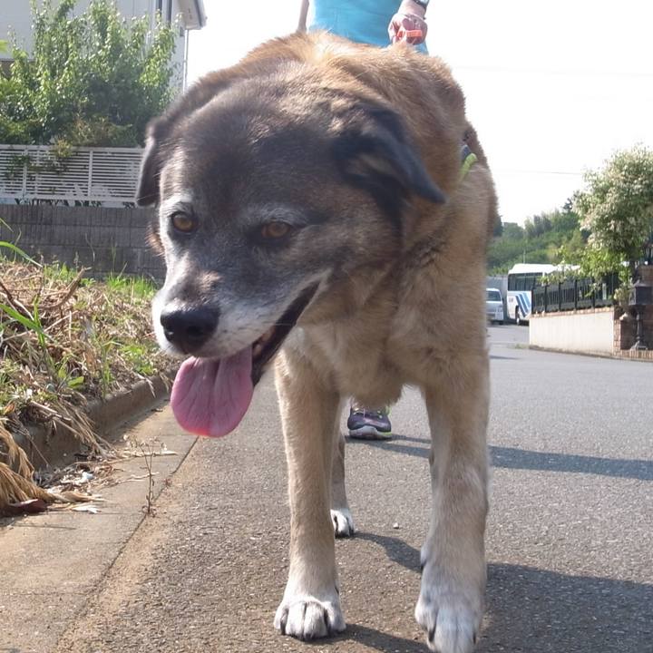 Dc33750e 3664 4597 9632 6169355f2780 1586398589680