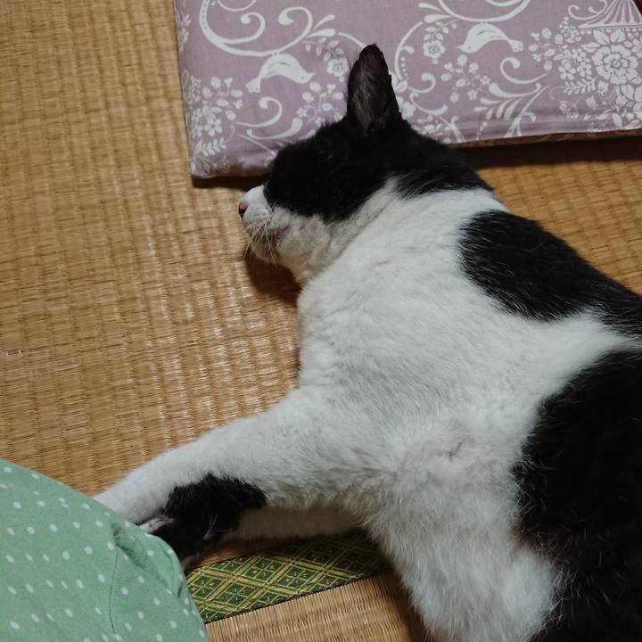 Dc3379e6 afd7 4920 9957 7281cbfd6f7c 1566131638891