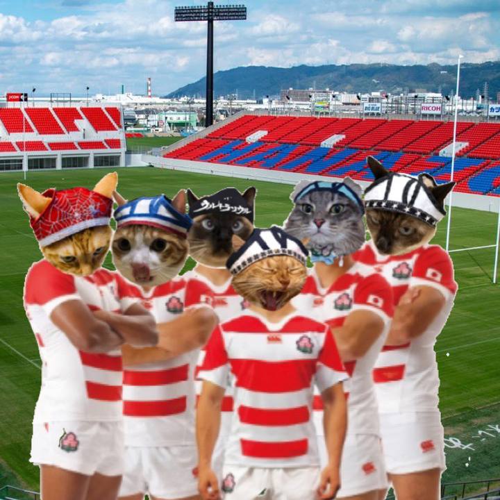 Dc33b6de 7e6b 47bf 985b 50827423f668 1571532400282