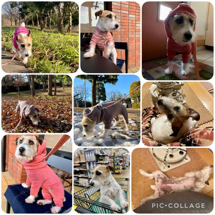 Dc33bf20 8ba4 4fb2 8a2c 57cc56c22319 1644133124067