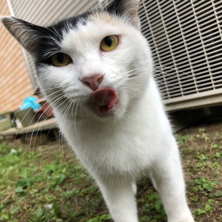 Dc33eaa9 f562 4a26 b222 eb6acec2fb54 1605008800337