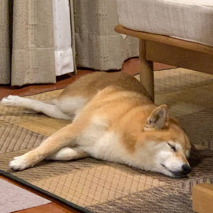 Dc342898 733a 4448 a568 9e90496f0dfc 1590764879676