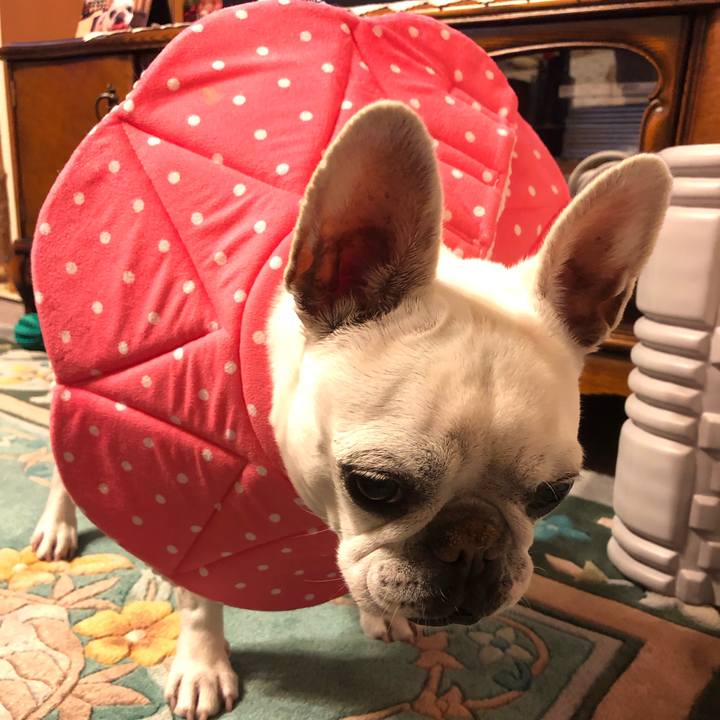 Dc3433e6 dc96 44d3 bbf7 40102d36b7e6 1681733234555