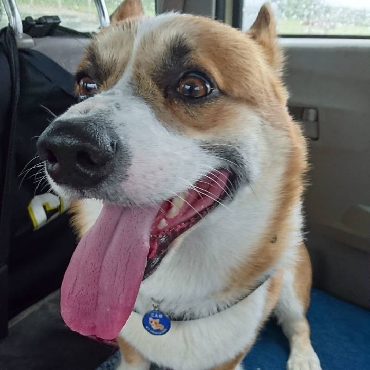 Dc345675 a544 42de ba6b dcf6127781cc 1625113655017