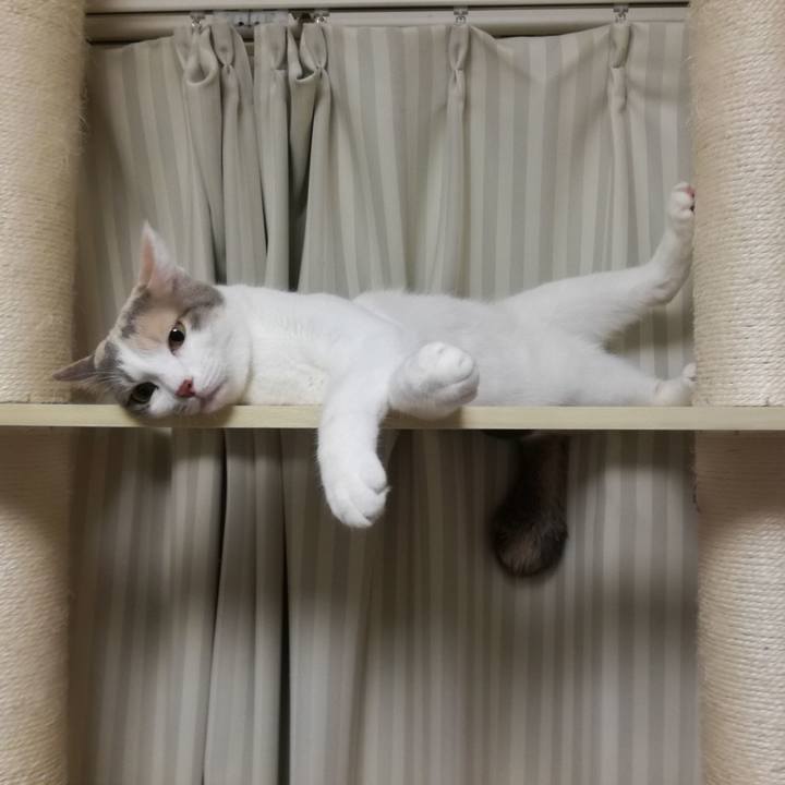 Dc347cf2 07fa 4194 8ecd 8010e2648316 1539682882159