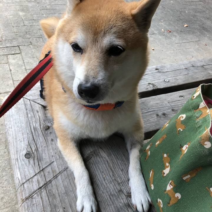 Dc348a5e 30e9 4c76 a637 3844e727b954 1573443338459