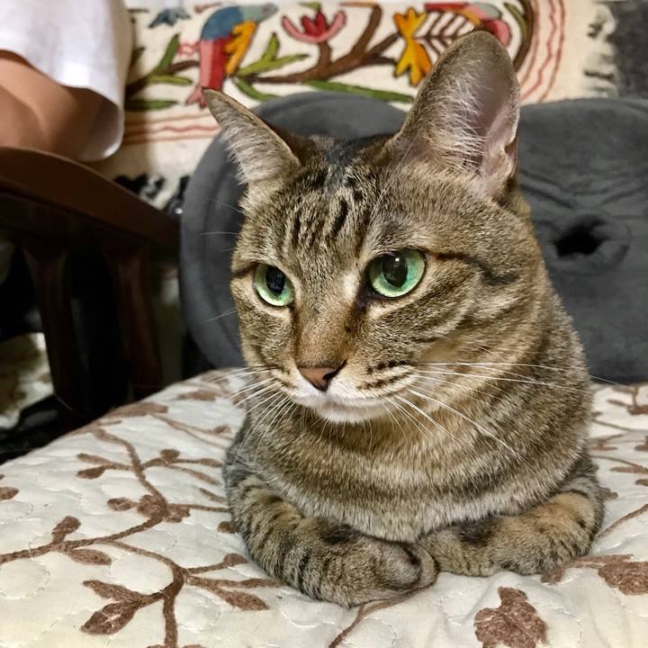 Dc349311 96c6 49c1 8546 f3134fe1fdea 1526653337628