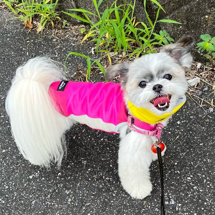 Dc34a634 c105 4446 9b39 2308fdb8a0fe 1722501046195