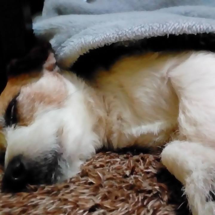 Dc34ee1c b7d9 4768 84ea 8cad0cb5326d 1514809828144