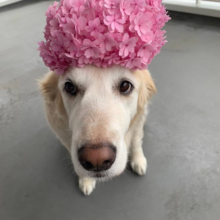 Dc352187 8640 48bf ab27 144df855247d 1758756109489