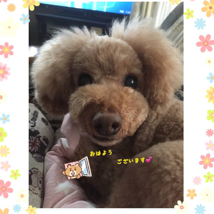 Dc3523f3 7c18 482b b83c 4912eafdf980 1524782272301